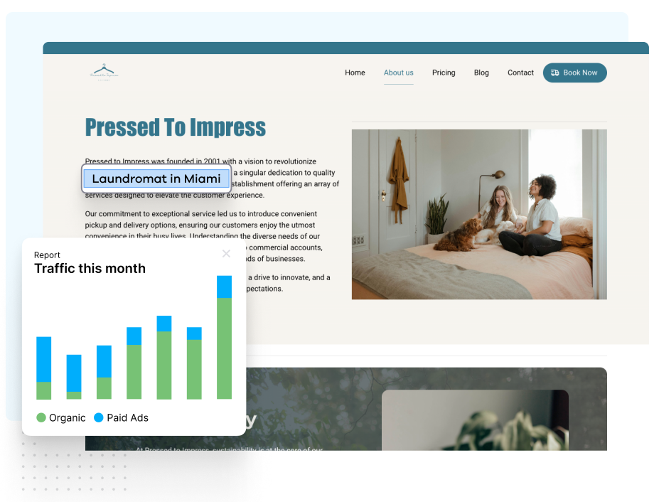 SEO Optimized Website for Laundromats and Dry Cleaners | CleanCloud