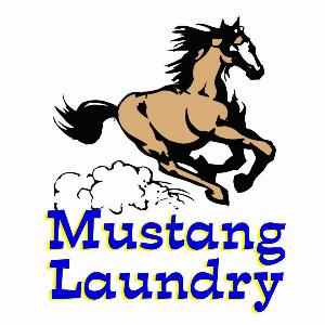 Mustang Laundry Logo
