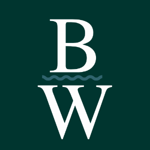 Bonza Wash Laundry - Dry Cleaner Logo