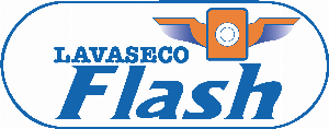 LAVASECO FLASH CENTRO Logo