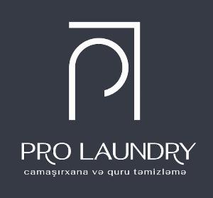 ProLaundry Logo