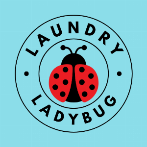 Laundry Ladybug LLC Logo