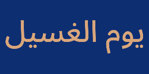 Saudi Cleaners by Shehab Logo