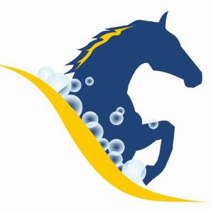 Old Country Laundry Logo