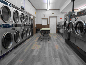 Burns Lake Laundromat Logo