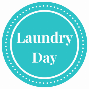 Laundry Day Logo