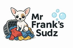 Mr Frank's Sudz Logo