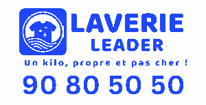 LAVERIE LEADER Logo
